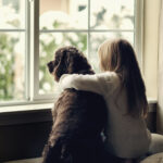 Protect Blinds from Pets