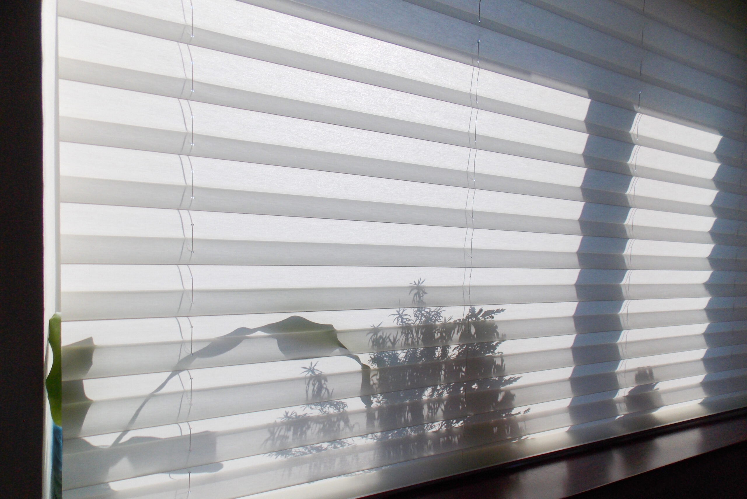 Pleated Honeycomb Blinds