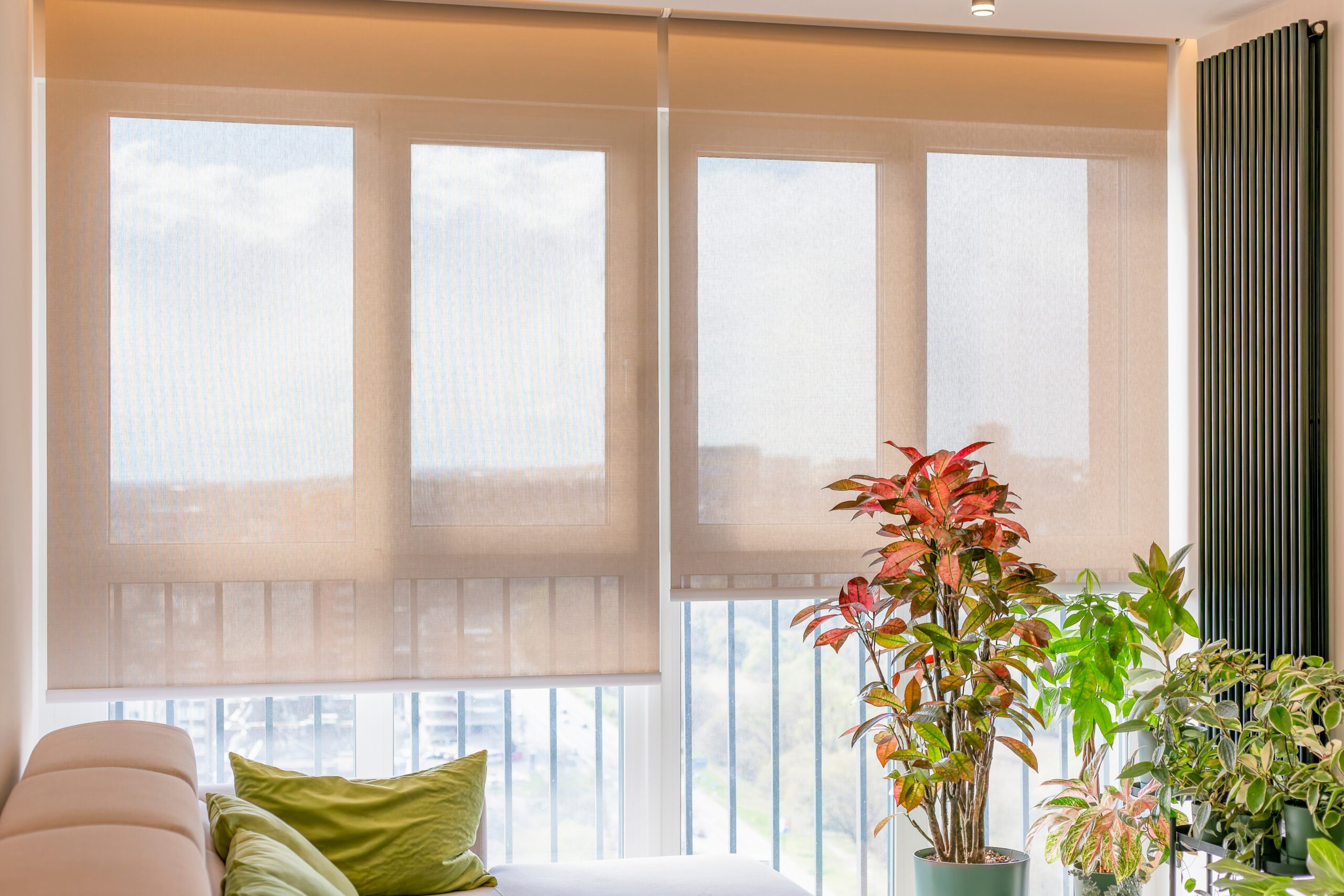 Roller Shades Main Line