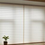 Modern Window Trends