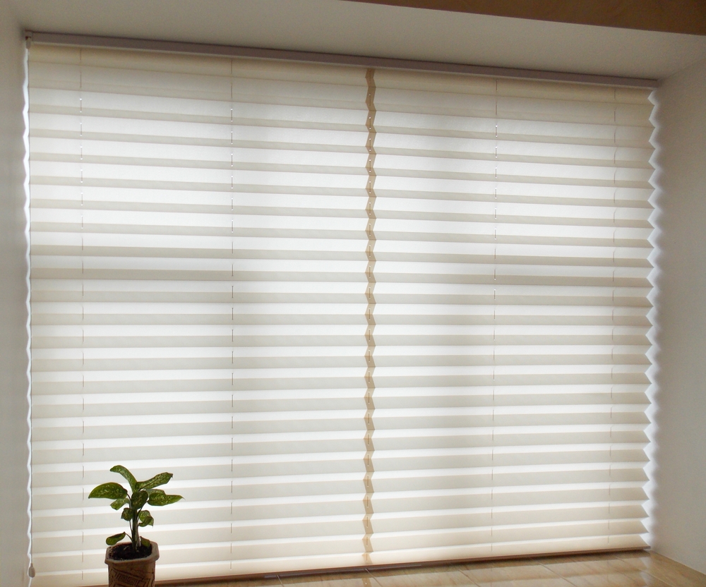 Modern Window Trends