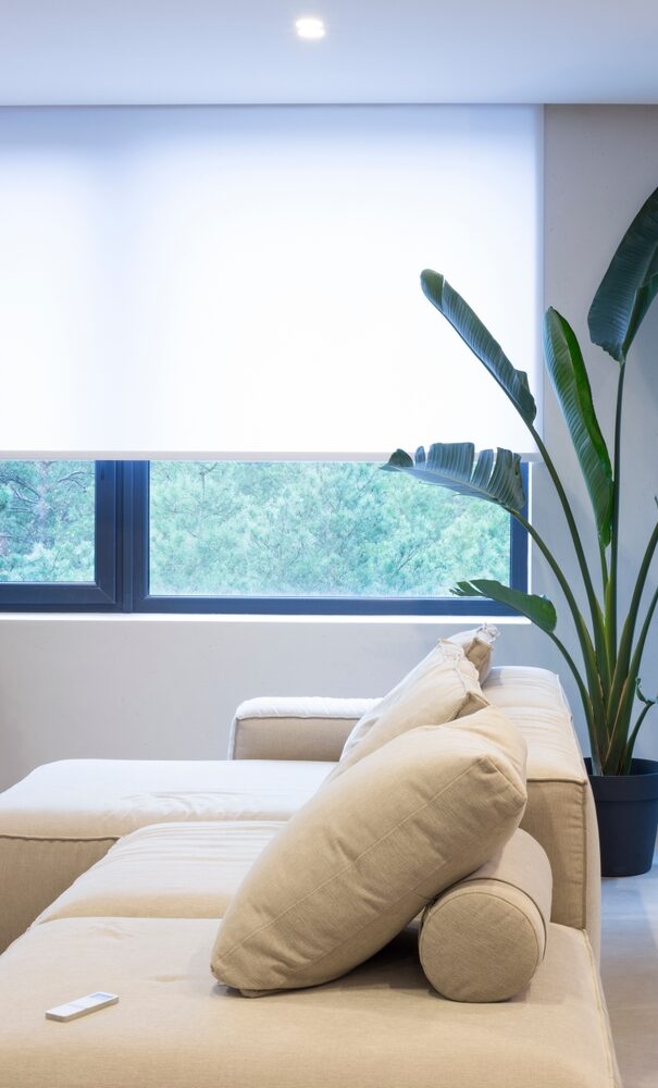 Motorized Window